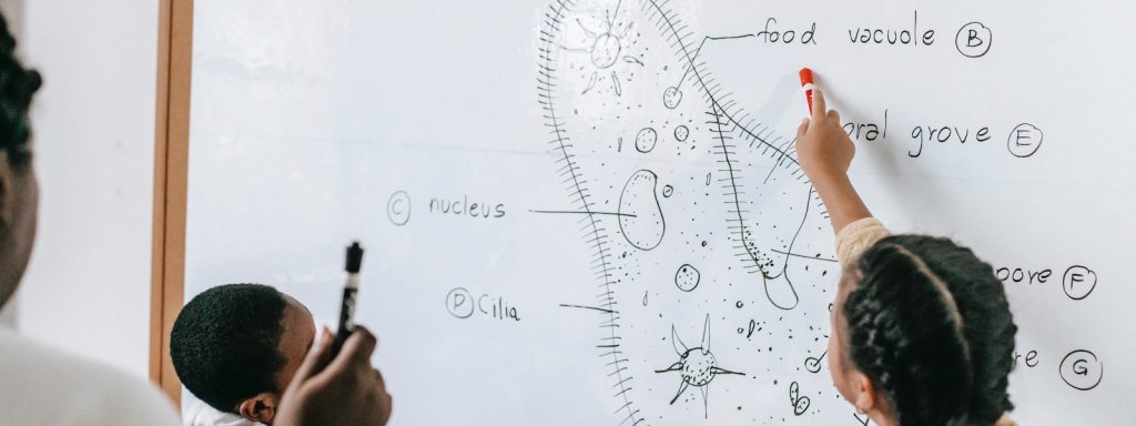 Profesor Particular, Clases de Regularización de Matemáticas, Física y Química. Regularización para Secundaria y Preparatoria.