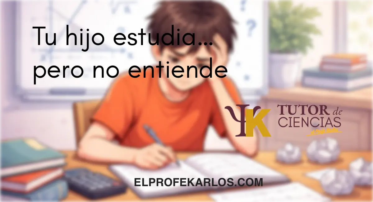 Mi hijo no entiende matemáticas aunque estudia.